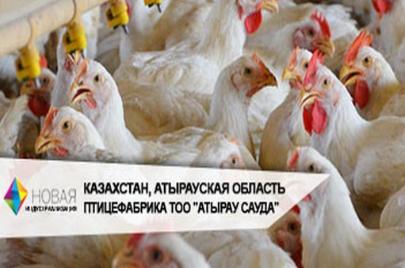 Поставка ДГУ ТСС Стандарт 150 кВт для птицефабрики в Атырау, Казахстан