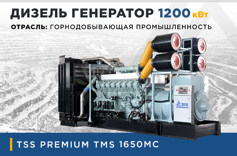 ДИЗЕЛЬНЫЙ ГЕНЕРАТОР TMS 2480MC