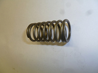 Пружина клапана внутренняя TDQ 20 4L/Inner valve spring