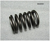 Пружина клапана наружная Ricardo R6110ZLDS; TDK 56- 170 6LT/Outer spring,inlet &exhaust valve (R0100