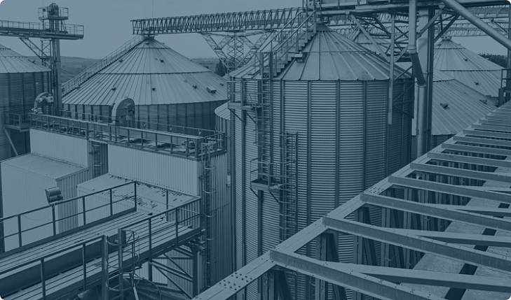 Агропромышленный комплекс