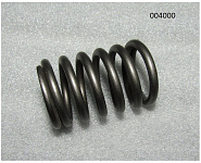 Пружина клапана наружная Ricardo R6110ZLDS; TDK 56- 170 6LT/Outer spring,inlet &exhaust valve (R0100