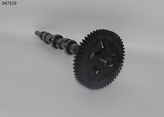 Вал распределительный SDG 12000(..),CD292F (в сборе с шестерней) Sh / Camshaft assy (CD292F-06201)