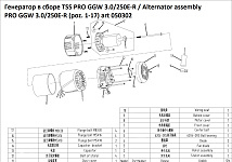 Генератор в сборе TSS PRO GGW 3.0/250E-R / Alternator assembly PRO GGW 3.0/250E-R (poz. 1-17)