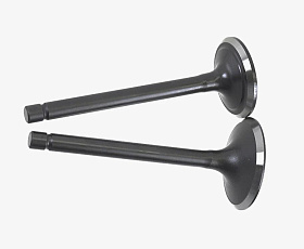 Комплект клапанов бензинового двигателя G420F