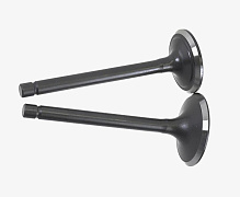 Комплект клапанов бензинового двигателя G420F