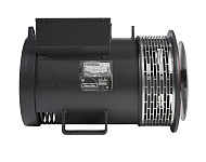 Mecc Alte ECP32-2M/4 (50 кВт)