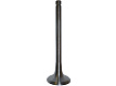 Клапан выпускной TDQ 25 4L/Exhaust valve