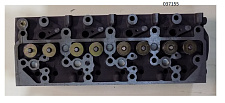 Головка блока цилиндров в сборе с клапанами TDK-N 110 4LT /Cylinder head assy with valves