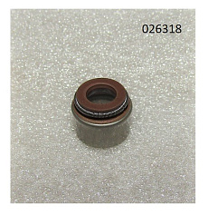 Колпачок маслосъёмный R2V910X / Valve guide oil seal (WS2V88-02030)
