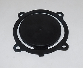 Клапан помпы обратный TSS-PDST100E/Check valve TSS-PDST100E, №22 (70010-00005-00)