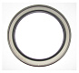 Сальник (130х170 х13) вала коленчатого задний SDEC SC13G420D2; TDS 280 6LT/Rear oil seal (G02-144-01