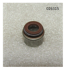Колпачок маслосъёмный R2V870X / Valve guide oil seal 7*11*10F(WS2V88-02030)