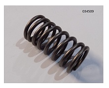 Пружина клапана внутренняя WP4.1D80E200/Inner Valve Spring (2010325)