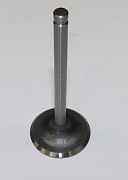 Клапан впускной SDG 10000(..),LT290FE / Intake Valve (1.02.02.02.0009)
