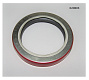 Сальник (60х80х12,без пружины )передний вала коленчатого TDQ 20.,25 4L/Front oil seal