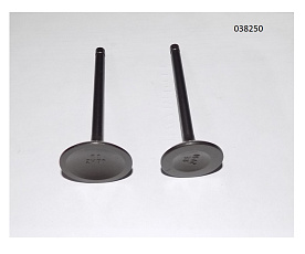 Клапан впуск+выпуск SGG 16000(.L.)-18000(.L.),LC2V90FD (К-т 2шт.) Lc / Valve Kit (500550082-0001)