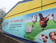 птицефабрика в г. Атырау (Республика Казахстан)